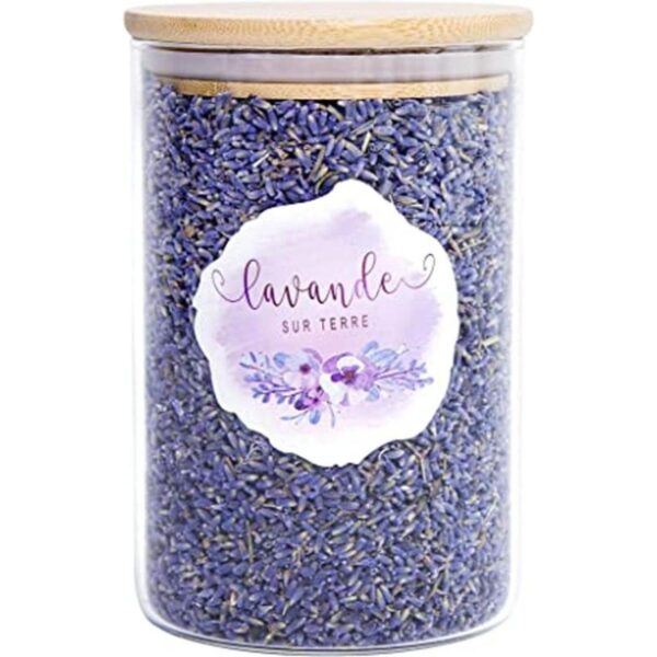 4 tazas de lavanda en botella de vidrio pequeña capullos