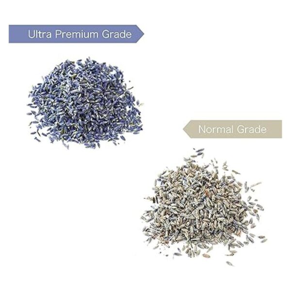 4 tazas de lavanda en botella de vidrio pequeña capullos