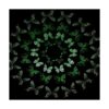 48 piezas luminosas 3D que brillan en la oscuridad_2