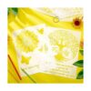 Kit de plantillas de girasol de 6 piezas plantillas_4