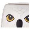 Silver Buffalo HP11833D Harry Potter Hogwarts Taza de_4