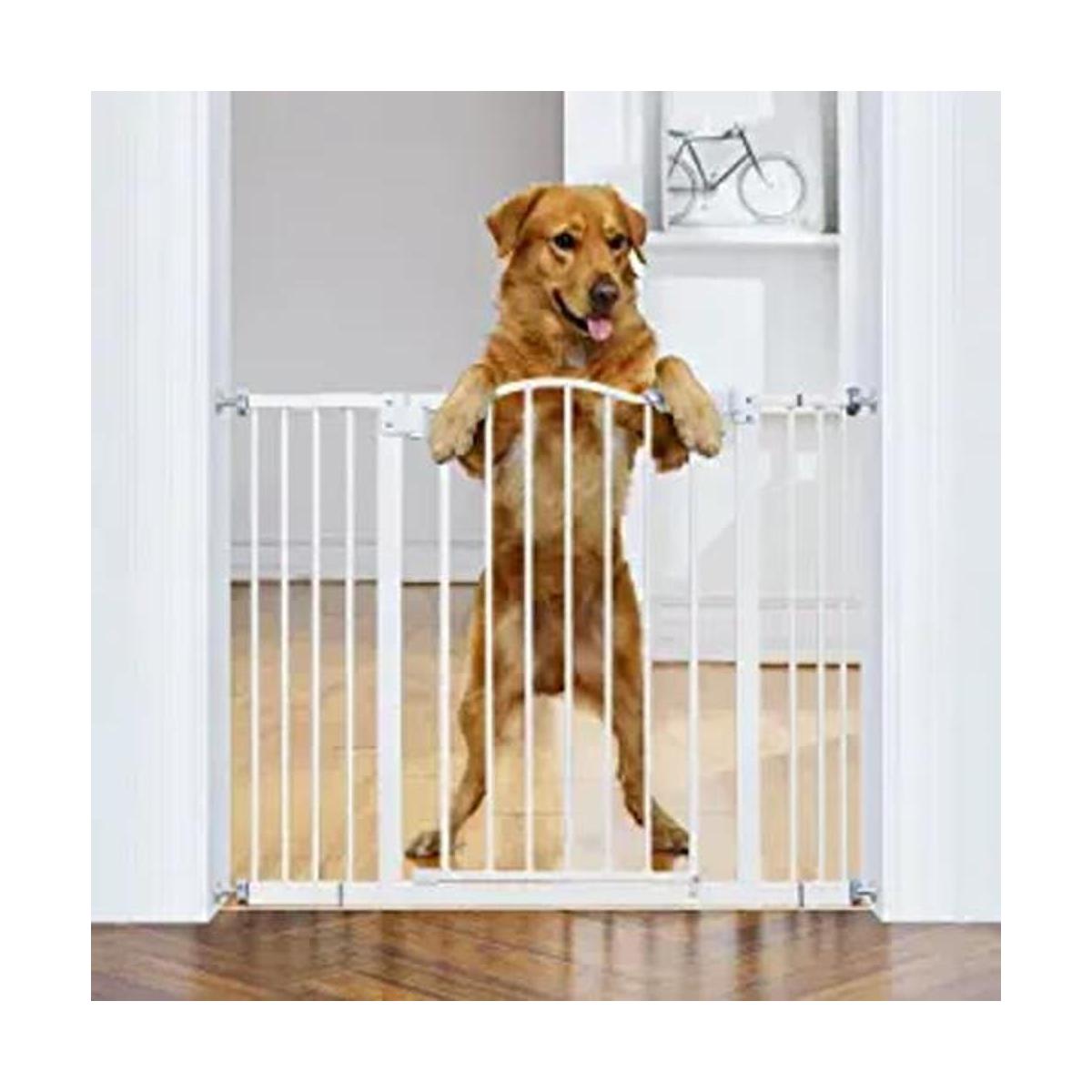 InnoTruth Puerta de bebé ancha para perros puerta de
