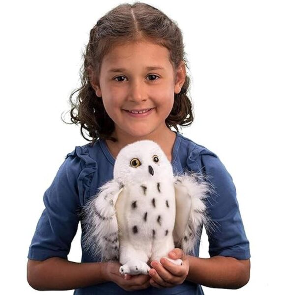 Asistente Snowy Owl_2