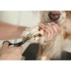 Andis Tijeras rectas aseo profesional para perros y gatos_2