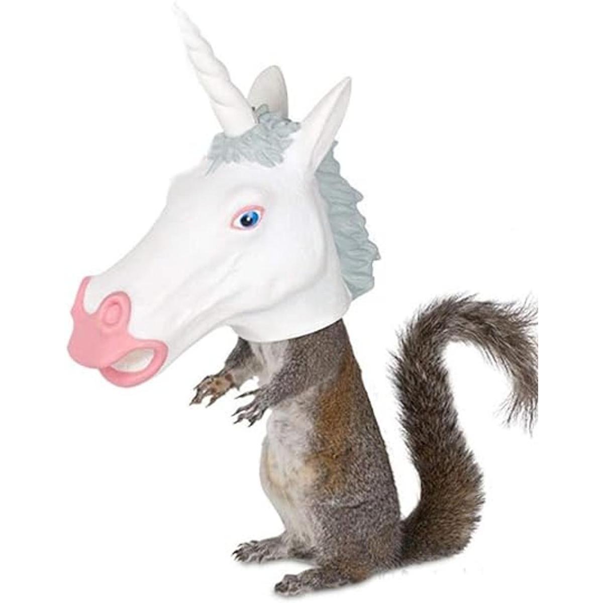 Alimentador de ardilla con diseño de cabeza de unicornio