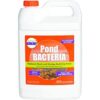 PondWorx Pond Bacteria Formulated for Large Ponds Water_1