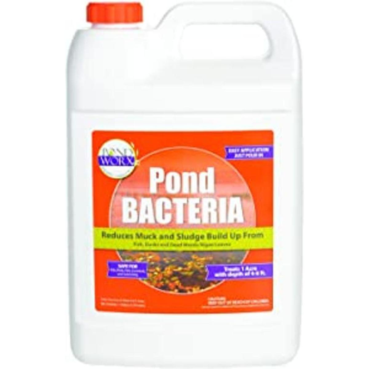 PondWorx Pond Bacteria Formulated for Large Ponds Water