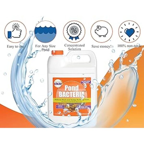 PondWorx Pond Bacteria Formulated for Large Ponds Water_4