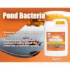 PondWorx Pond Bacteria Formulated for Large Ponds Water_2