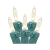 Novelty Lights Juego de 10 luces transparentes para_4