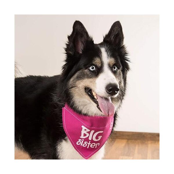 Pavilion Gift Company 45614 Pavilions Pets Bandana_3