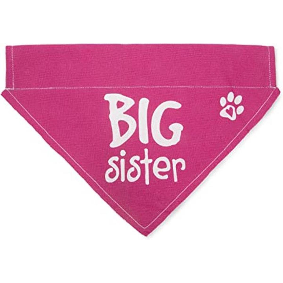Pavilion Gift Company 45614 Pavilions Pets Bandana