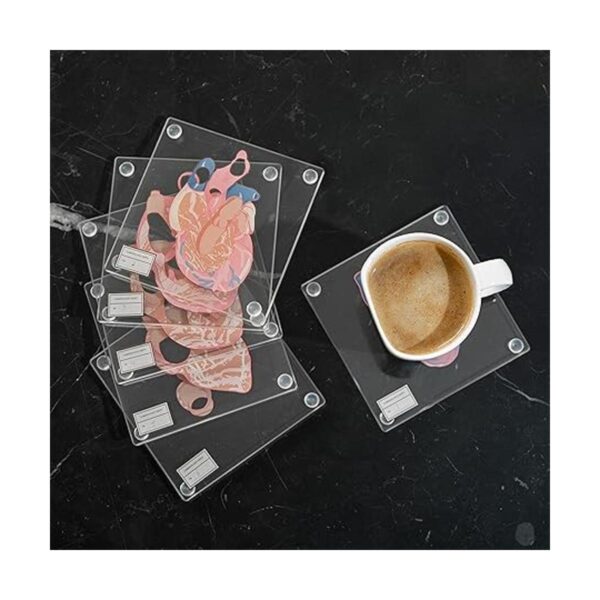 Posavasos anatómicos para muestras de corazón juego de_6