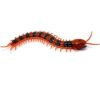 Tipmant Simulation RC Centipede Scolopendra Control Remoto_3