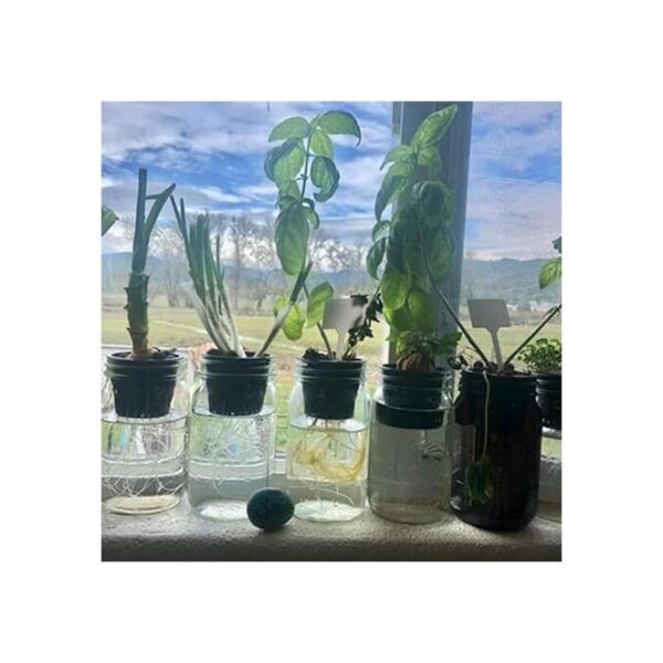 Hazoulen Juego de 15 vasos de plástico para jardín 3.0 in
