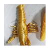 Filamento PLA dorado seda de 1.1 lbs de filamento para_4