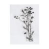 4 sellos transparentes de diente de león flores de_4