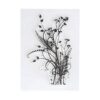 4 sellos transparentes de diente de león flores de_5