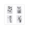 4 sellos transparentes de diente de león flores de_1
