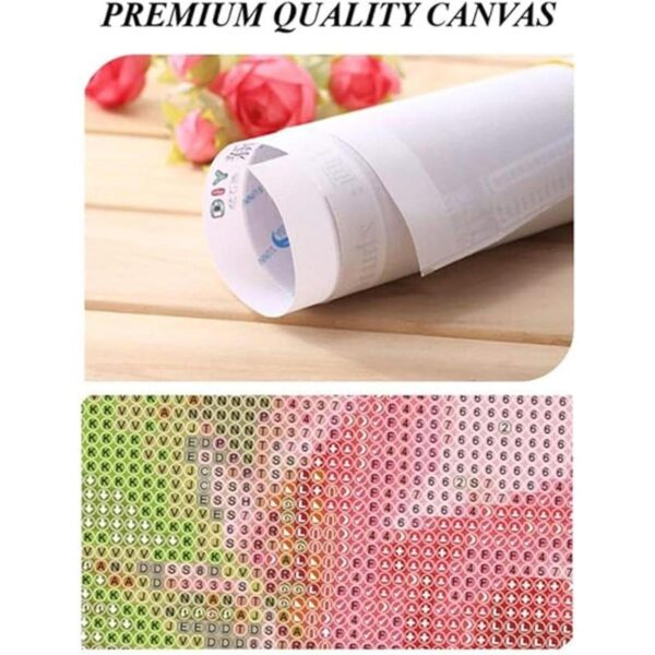 5D DIY diamante pintura Alicia 12x16 pulgadas redondo_3