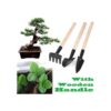 6 piezas de herramientas de jardín mini kit de jardinería_5