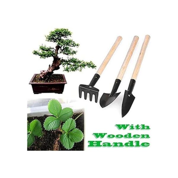 6 piezas de herramientas de jardín mini kit de jardinería_5