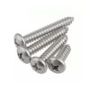 800pcs M2 Autoperforantes Tornillos Disco de Cruz Pan_2