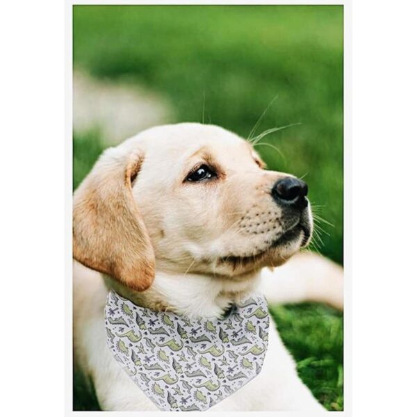 ARING PET Pañuelo de algodón para perro pañuelo