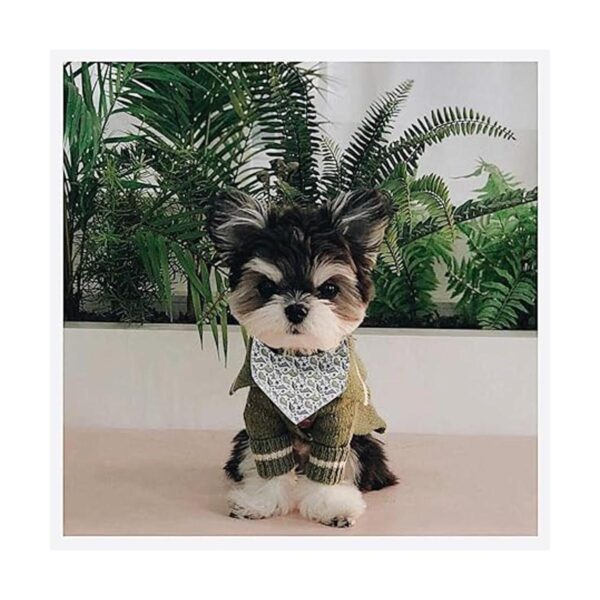 ARING PET Pañuelo de algodón para perro pañuelo