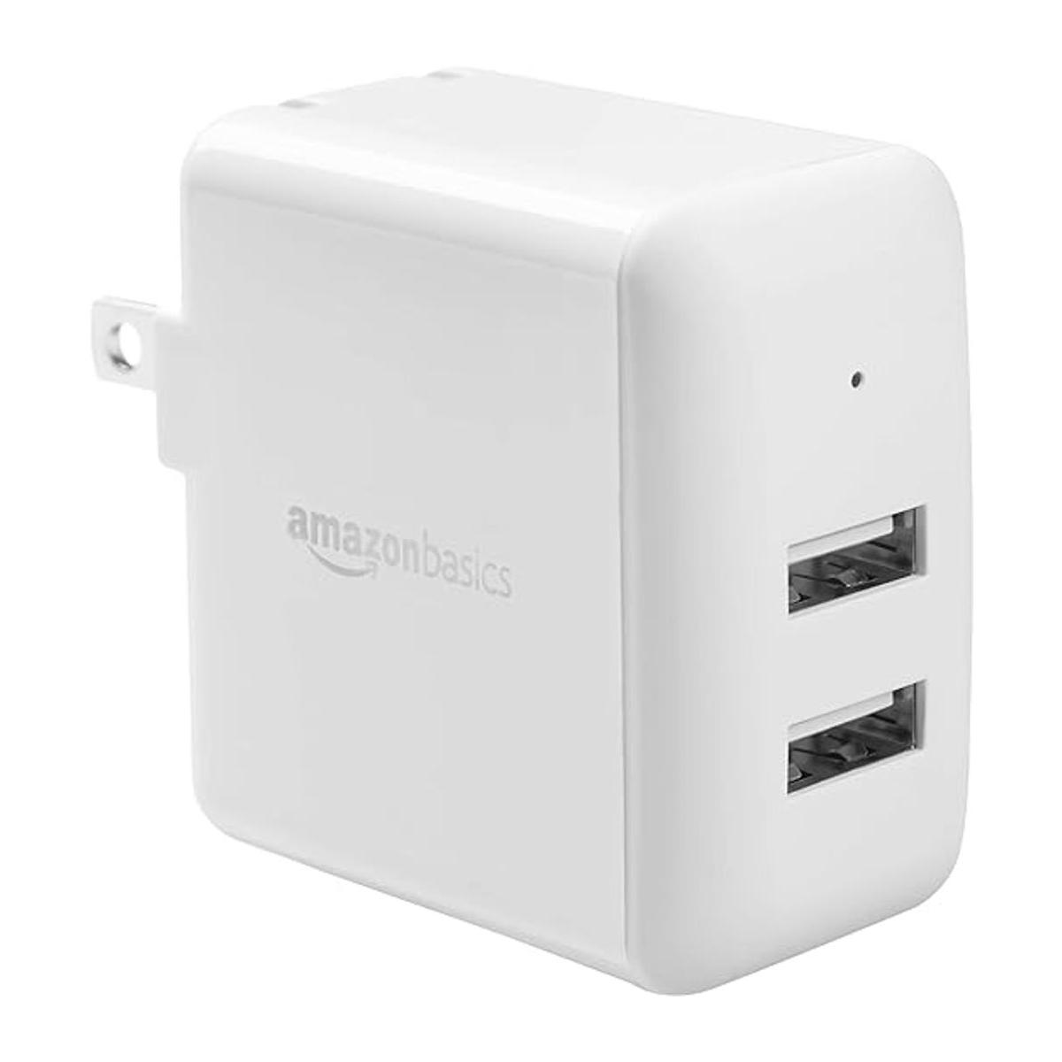 DualPort 24W USB Wall Charger for Phone iPad and Tablet