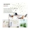 Juego de 5 macetas de pared para plantas de aire de pared_4