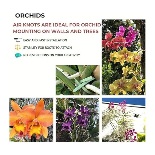 Juego de 5 macetas de pared para plantas de aire de pared_6