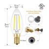 Hizashi Paquete de 12 bombillas de filamento LED CRI de 2