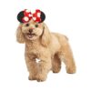 Rubies Disney Mickey Friends Accesorio para disfraz_1