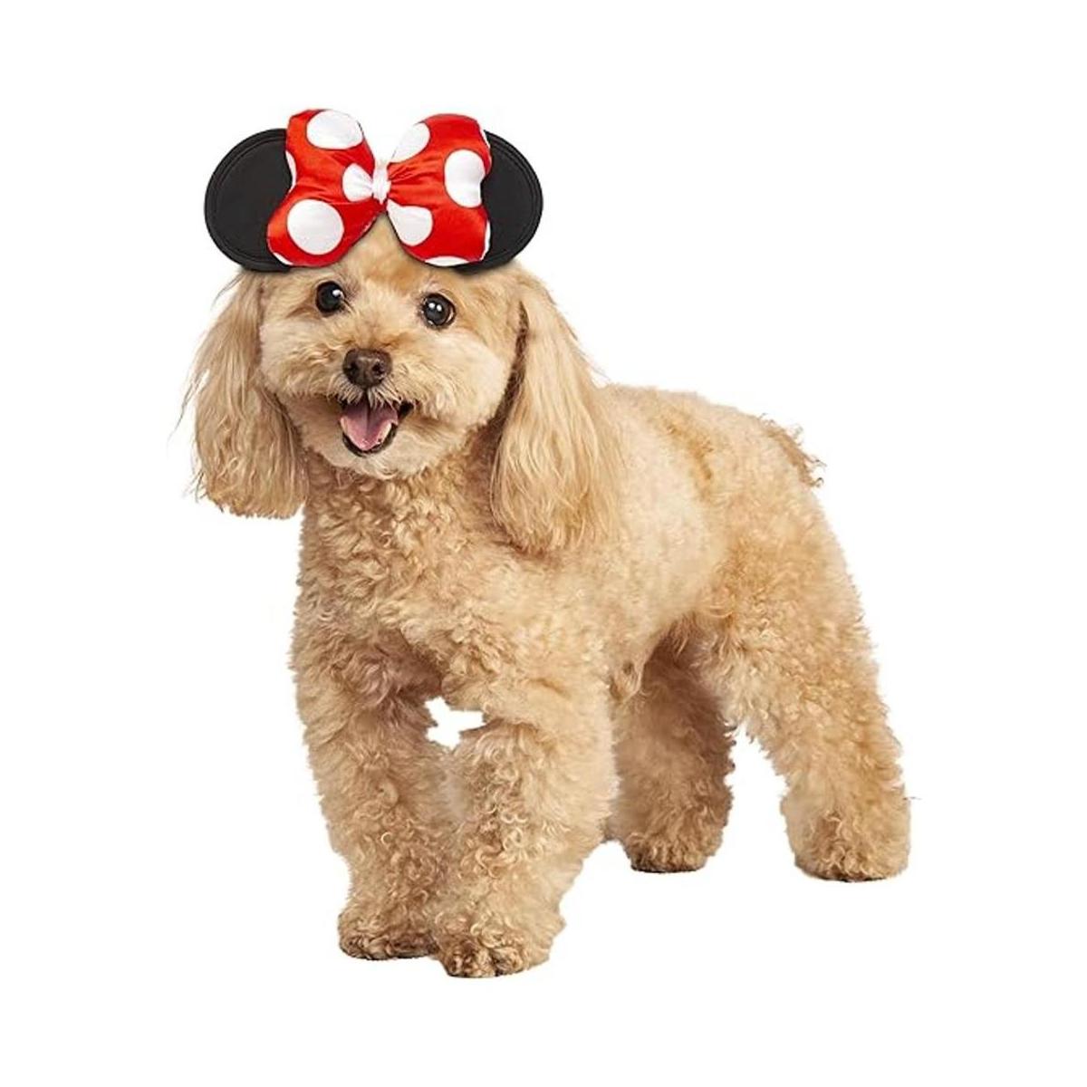 Rubies Disney Mickey Friends Accesorio para disfraz