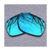 Lentes polarizadas de repuesto para Oakley Sliver_3