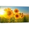 Nachic Lienzo decorativo para pared con diseño de girasol_1
