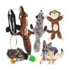 Jalousie Juego de 5 juguetes chirriantes para perros_1