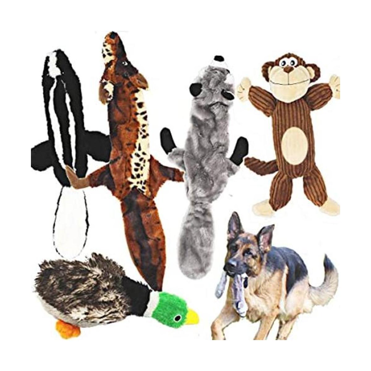 Jalousie Juego de 5 juguetes chirriantes para perros