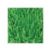 Beistle 4 alfombrillas de papel de seda verde para_2