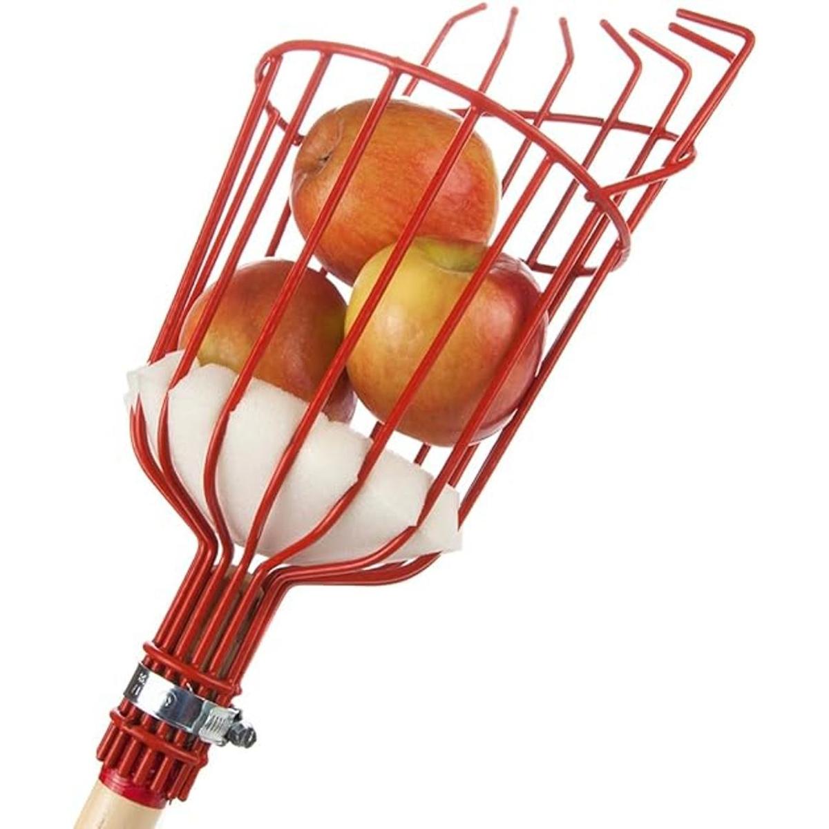 HomeX Cesta de recolector de frutas con cojín para evitar