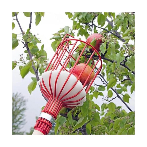 HomeX Cesta de recolector de frutas con cojín para evitar_3
