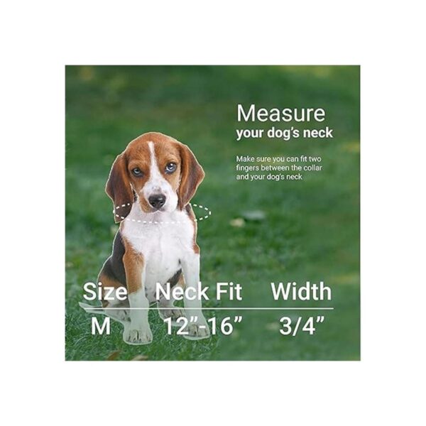 CollarDirect Collar de seguridad reflejante para perro_4