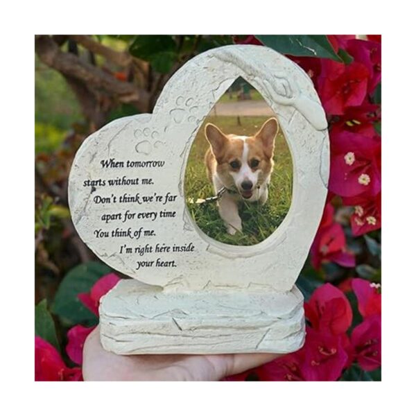 JSYS Piedras conmemorativas para perros y mascotas con_5