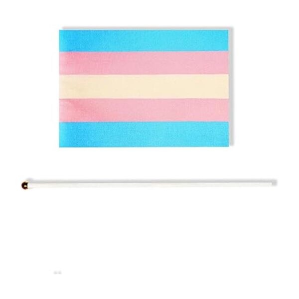 Paquete de 50 banderas transgénero con diseño de arco_2