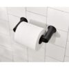 Moen Genta Soporte de papel higiénico pivotante moderno_3