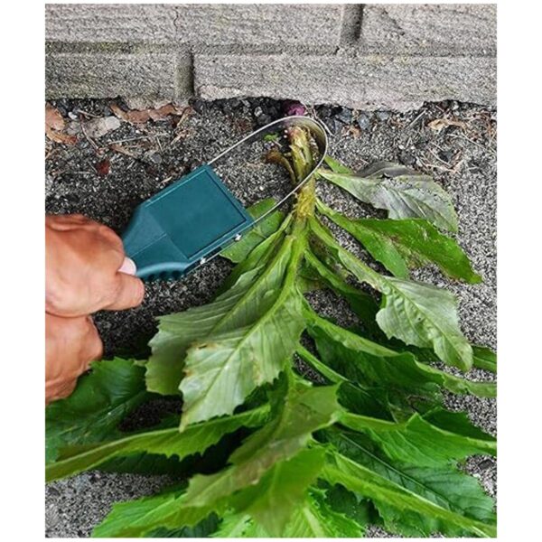 HomeX Herramienta para jardinería y jardinería cortador