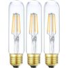 LEOOLS Bombilla de tubo LED de vidrio regulable Edison T10_1