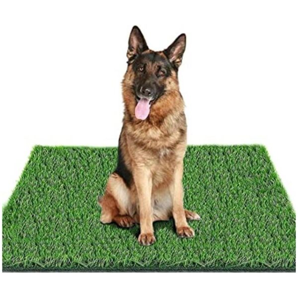 Fortunestar Tapete de hierba artificial para perros y_1