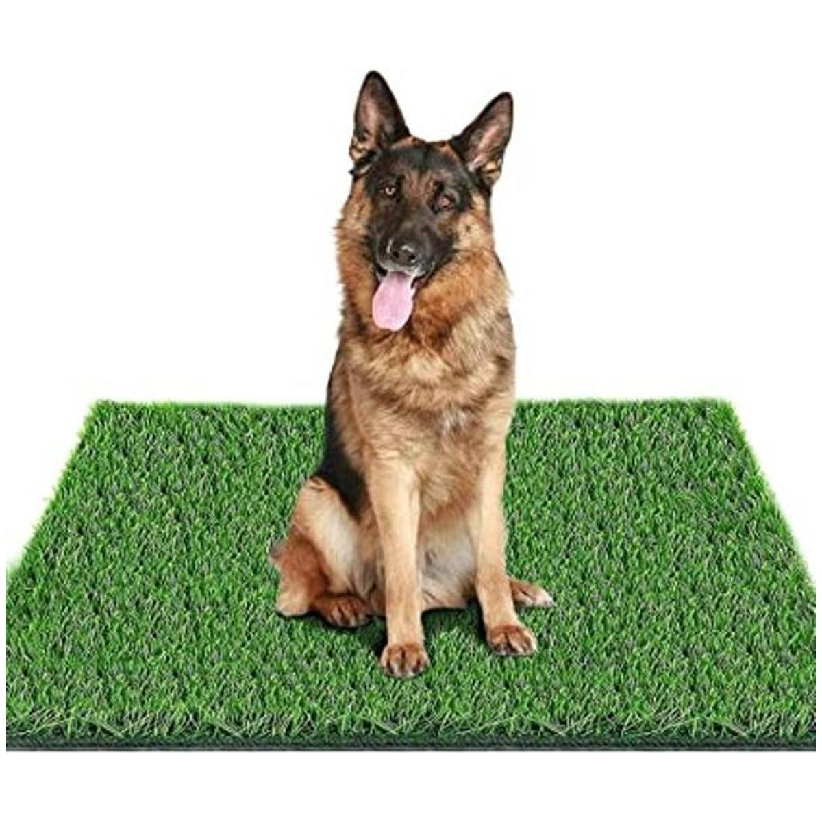 Fortunestar Tapete de hierba artificial para perros y